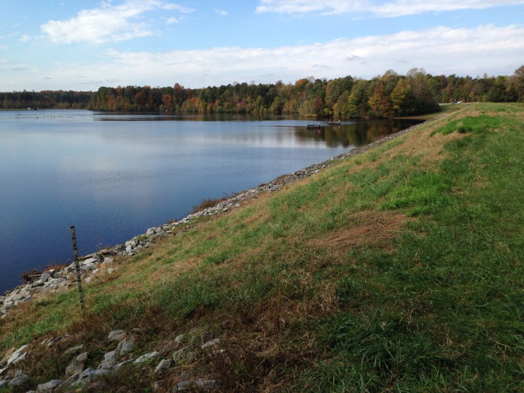 VDGIF Briery Creek Wildlife Management Area Vegetation Management Plan ...