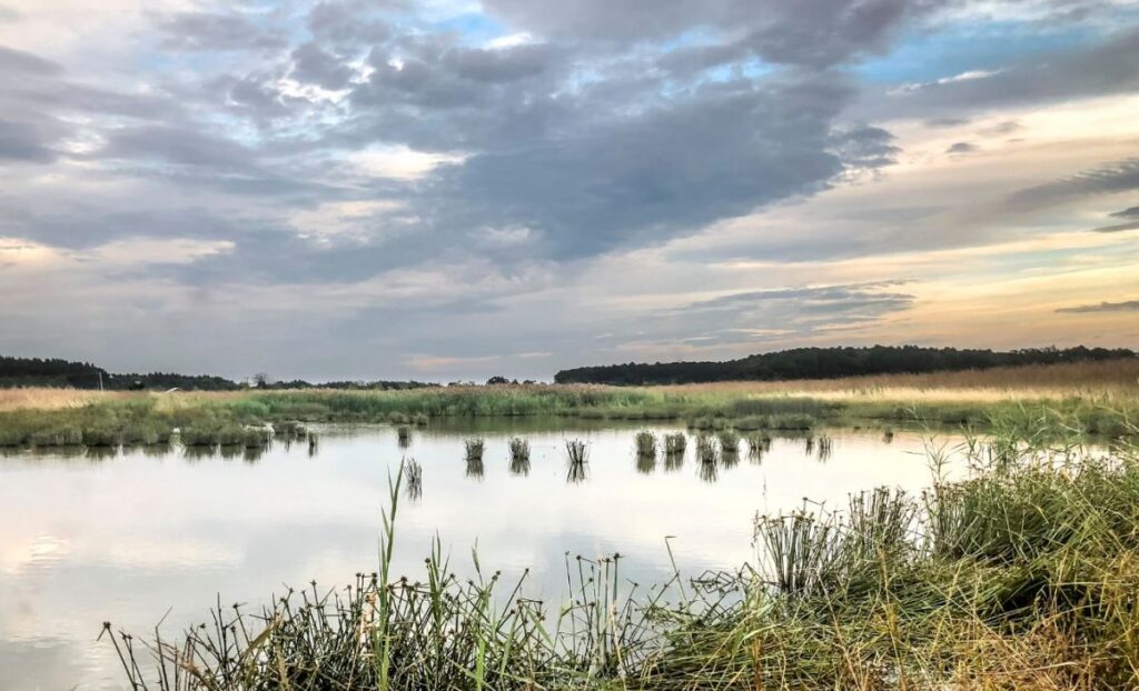 Oxford Conservation Park