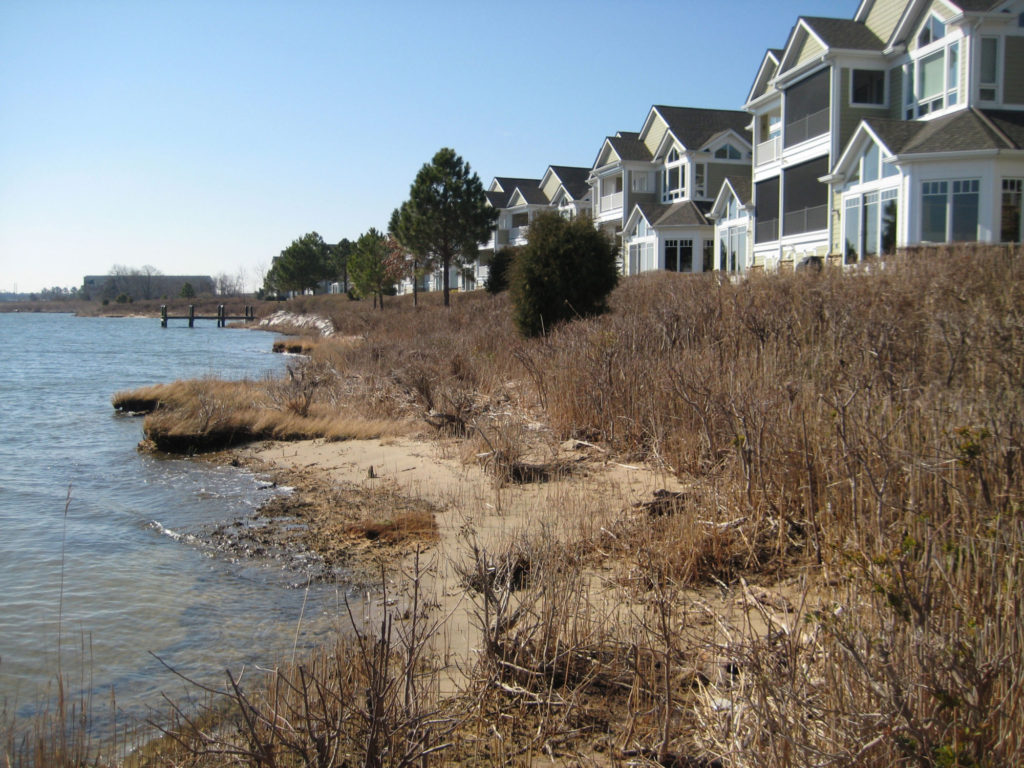 Narrows Pointe Shoreline