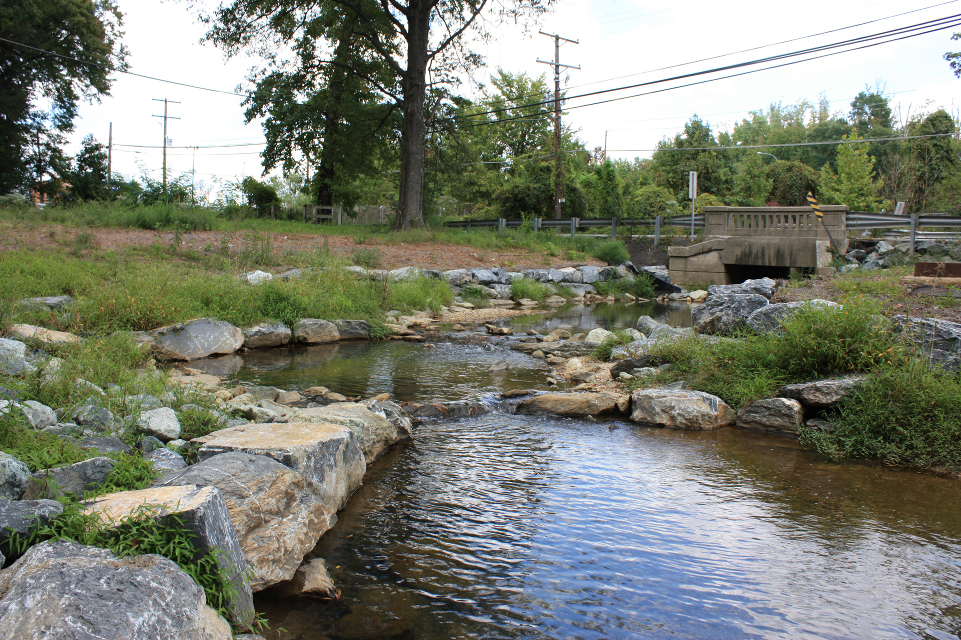 Streams